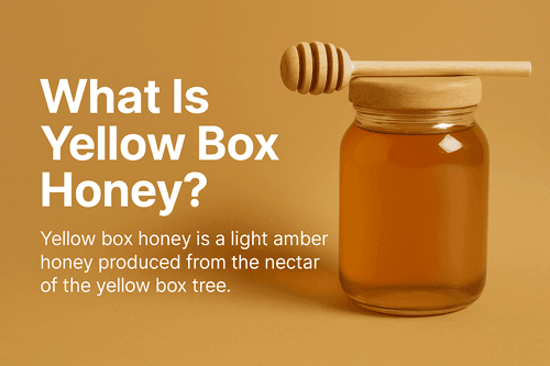 What Is Yellow Box Honey?