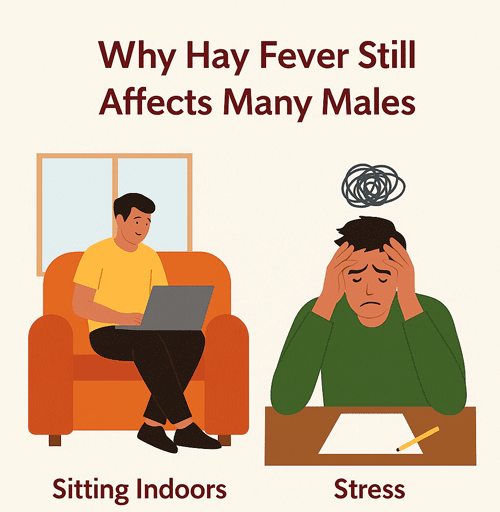 Why Hay Fever StillAffects Many Males