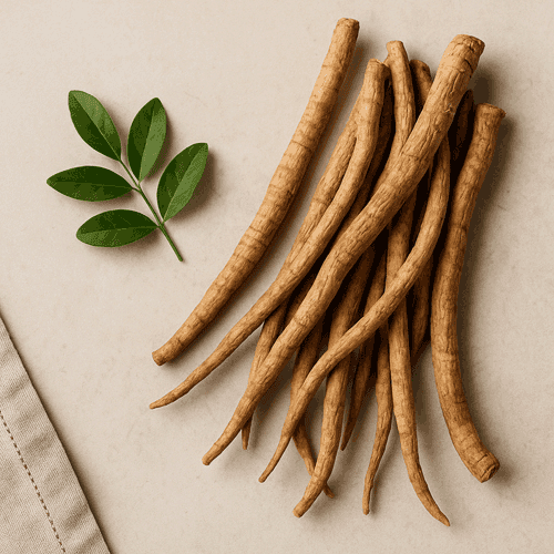 Qué es Tongkat Ali | Maxedmale